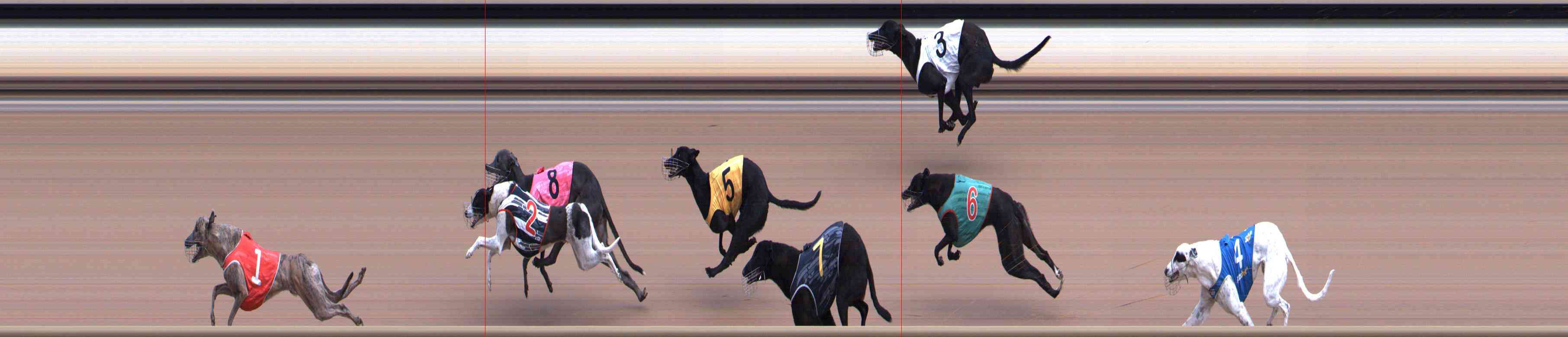 Race result finish photo